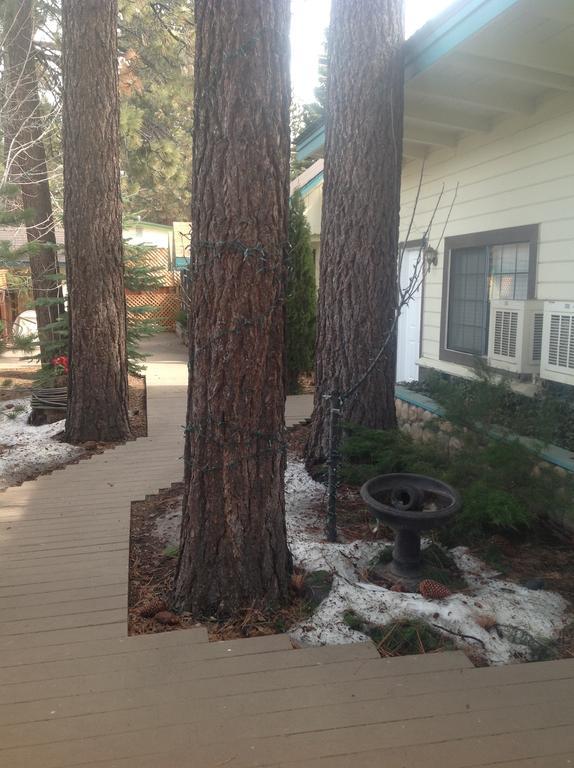 Tahoe Chalet Inn, The Theme Inn Lake Tahoe Airport Екстериор снимка