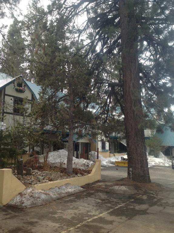 Tahoe Chalet Inn, The Theme Inn Lake Tahoe Airport Екстериор снимка